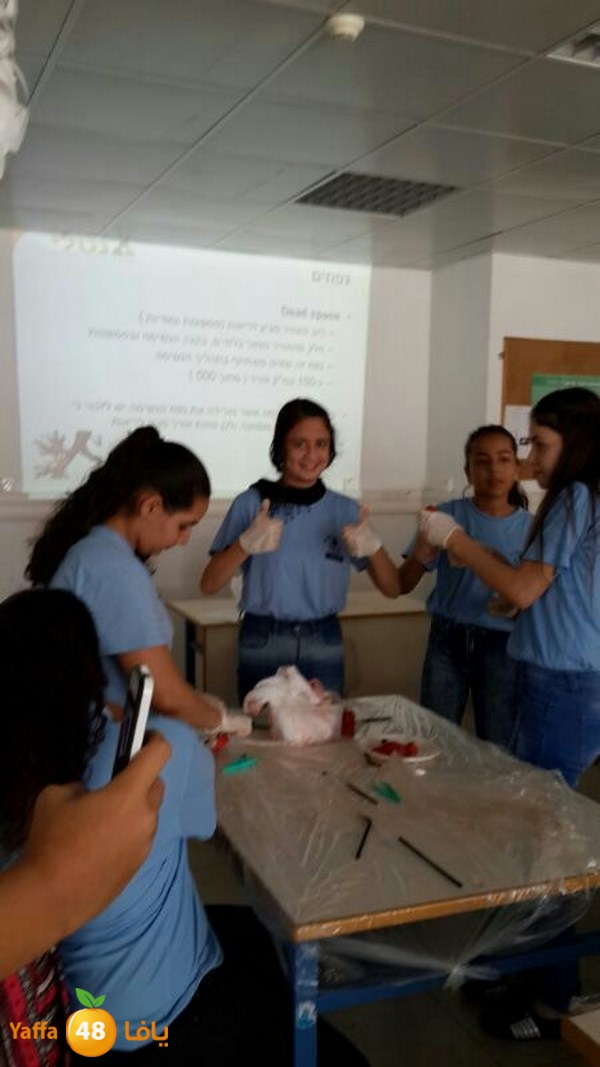 ajyal teb 0311 (6).JPG